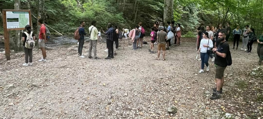 4919c17d-e848-453f-9af5-028c2bafacf1