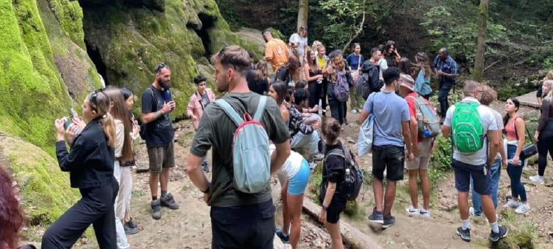 541d1217-4704-4d59-9abc-65fd0ee91404