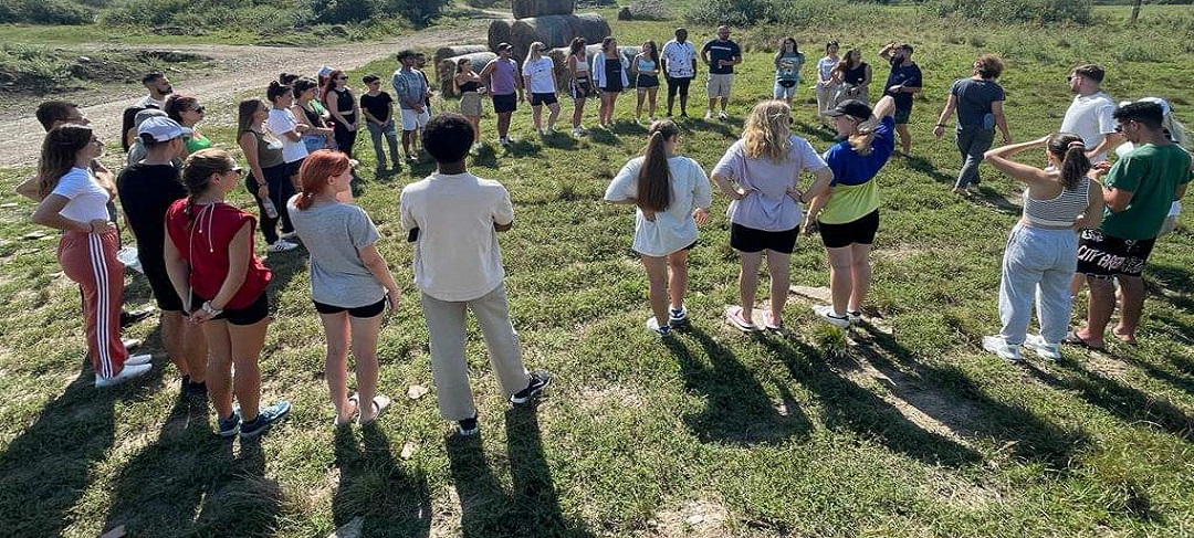 787f0d5b-0800-47d9-87e9-bce5a2c31324